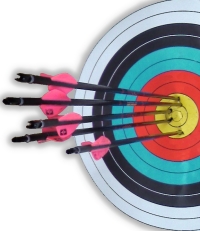 Archery ten ring or bullseye